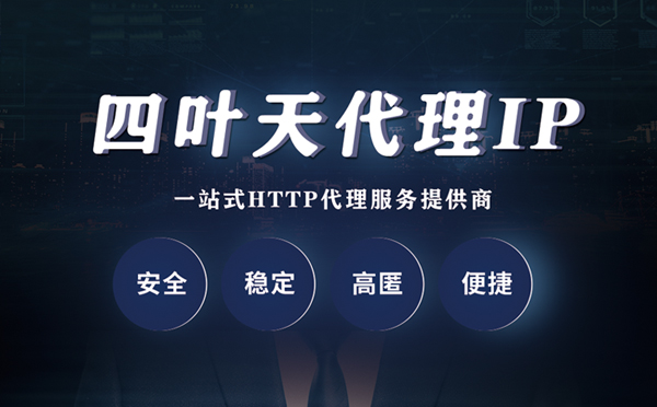 【绥化代理IP】代理ip客户端使用教程