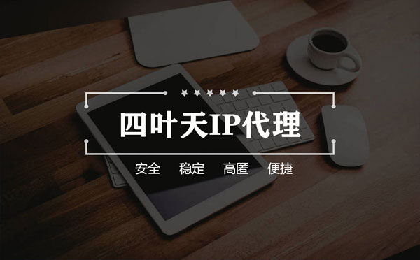 【绥化代理IP】如何快速搭建代理IP？怎么检查代理的效果？