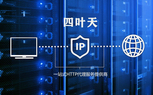 【绥化代理IP】代理IP的主要用途和使用注意事项